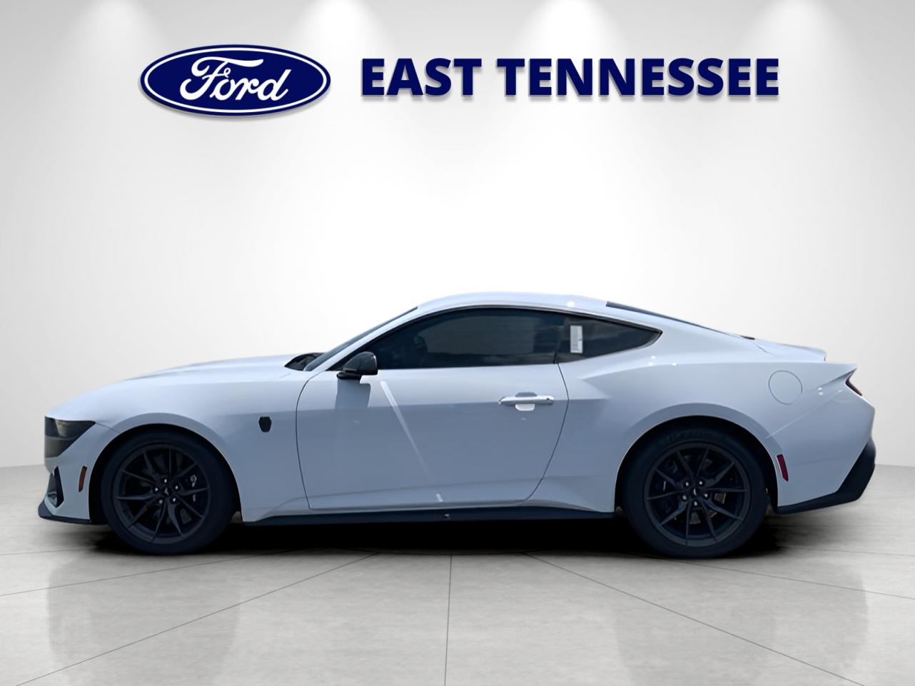 New 2025 White Ford Dark Horse image 6