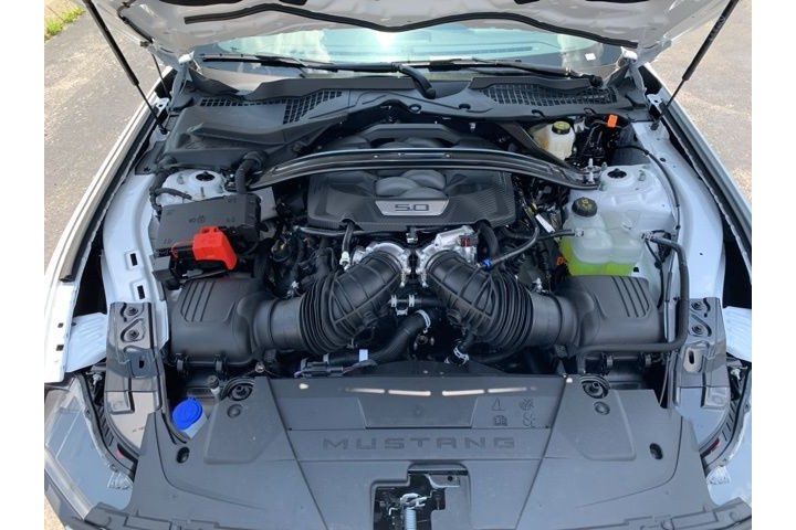 New 2025 White Ford Dark Horse image 29
