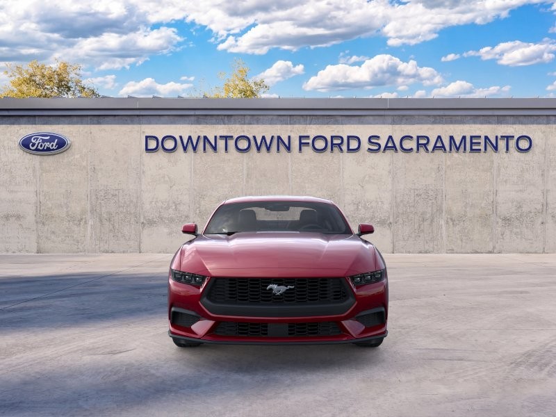 New 2026 Magenta Ford EcoBoost® Fastback image 7