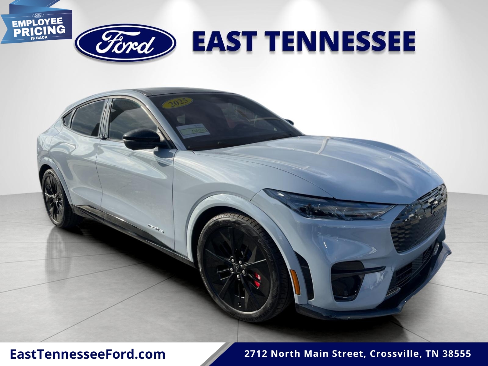 2025 Ford Mustang-Mach-e GT's photo