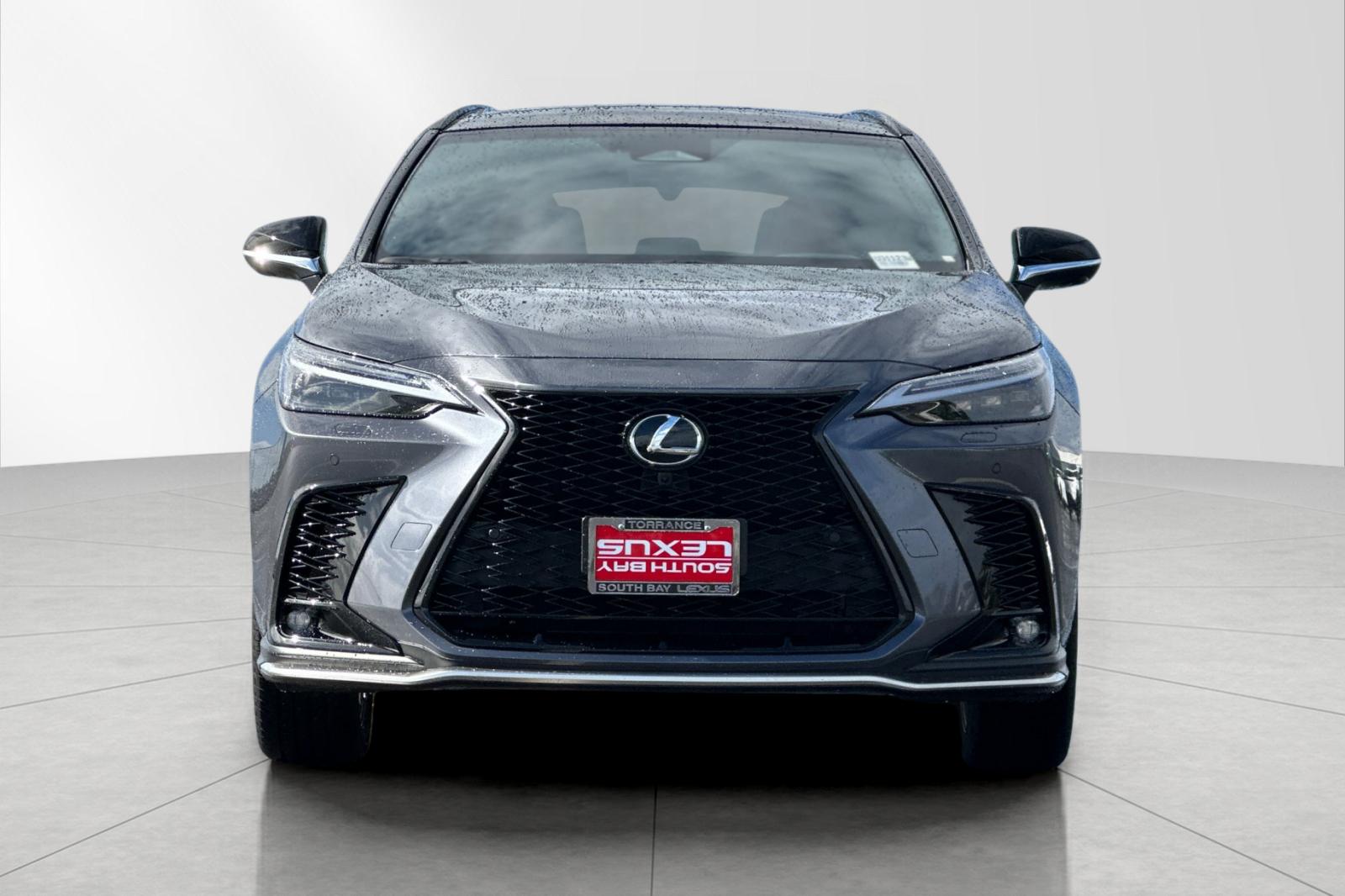 2025 Lexus NX 350 - Photo 9
