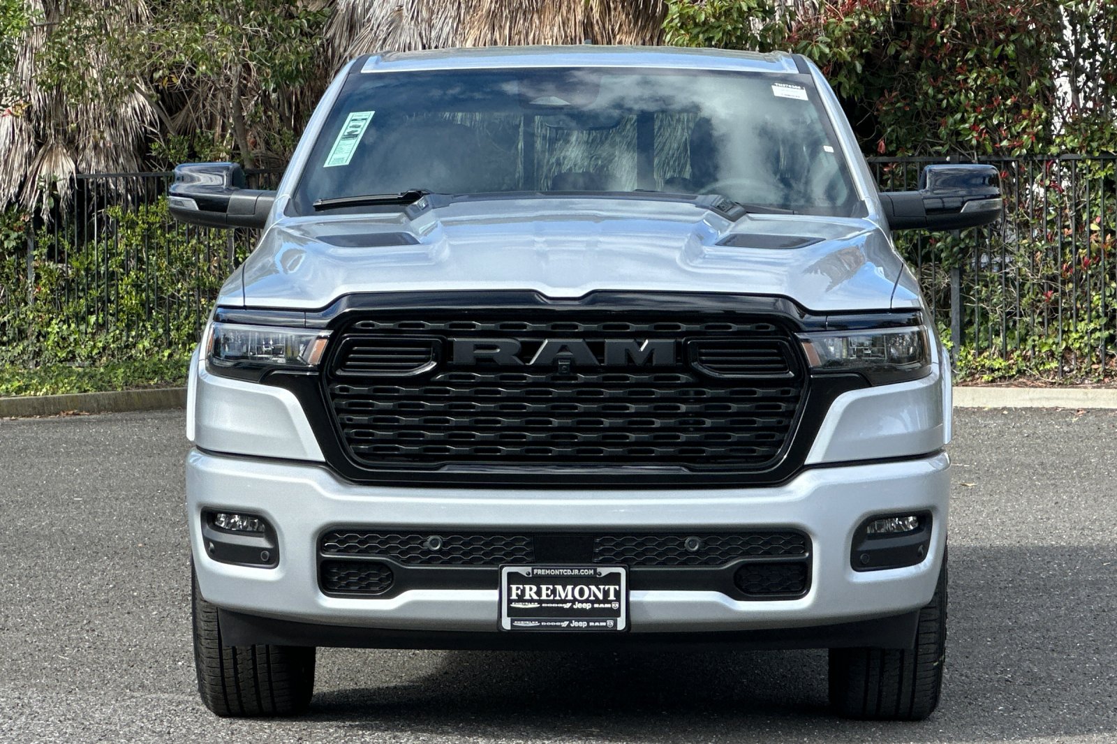 New 2026 Silver Zynith Exterior Paint RAM Big Horn/Lone Star image 8
