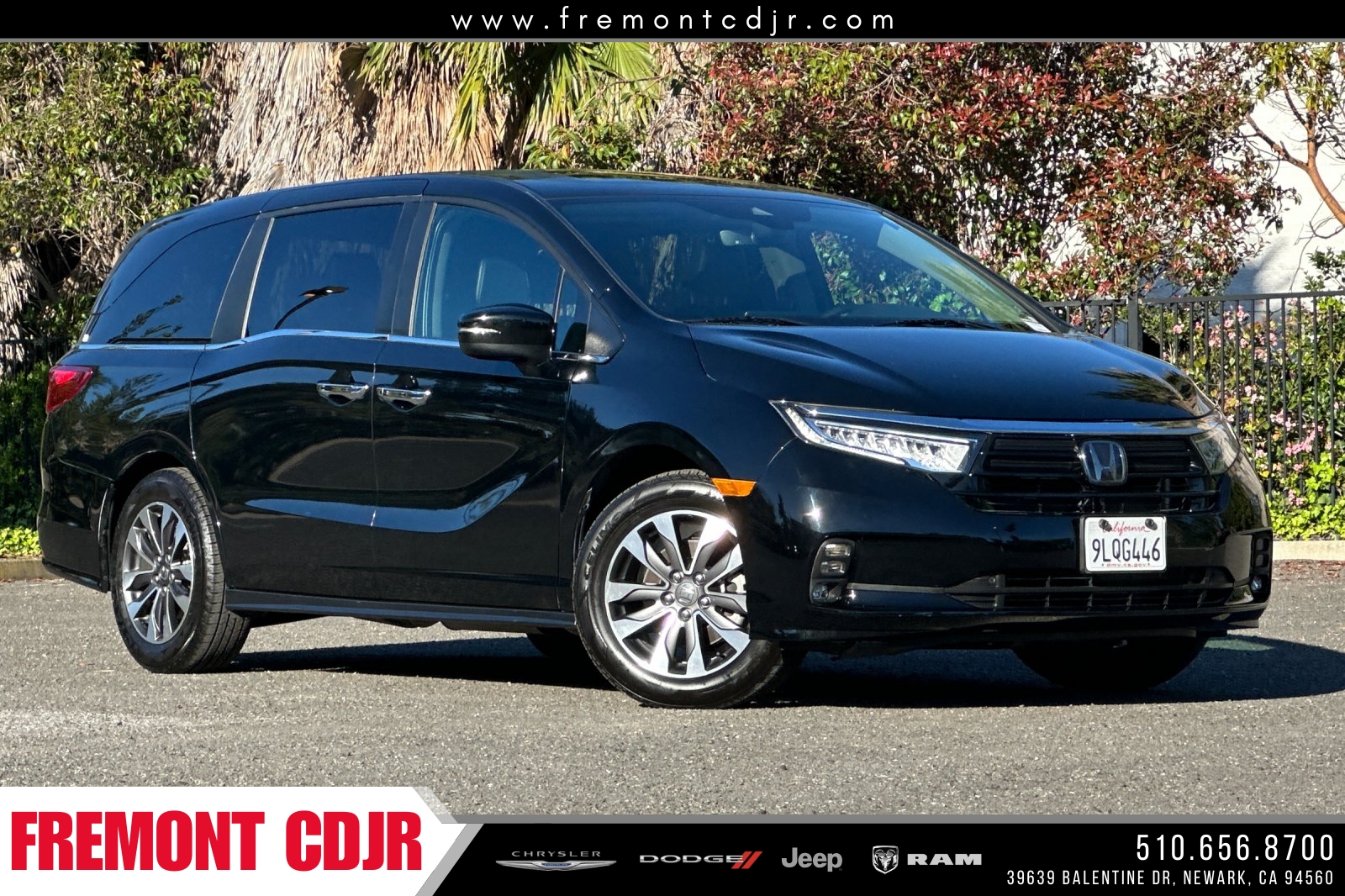 2024 Honda Odyssey EX-L's photo