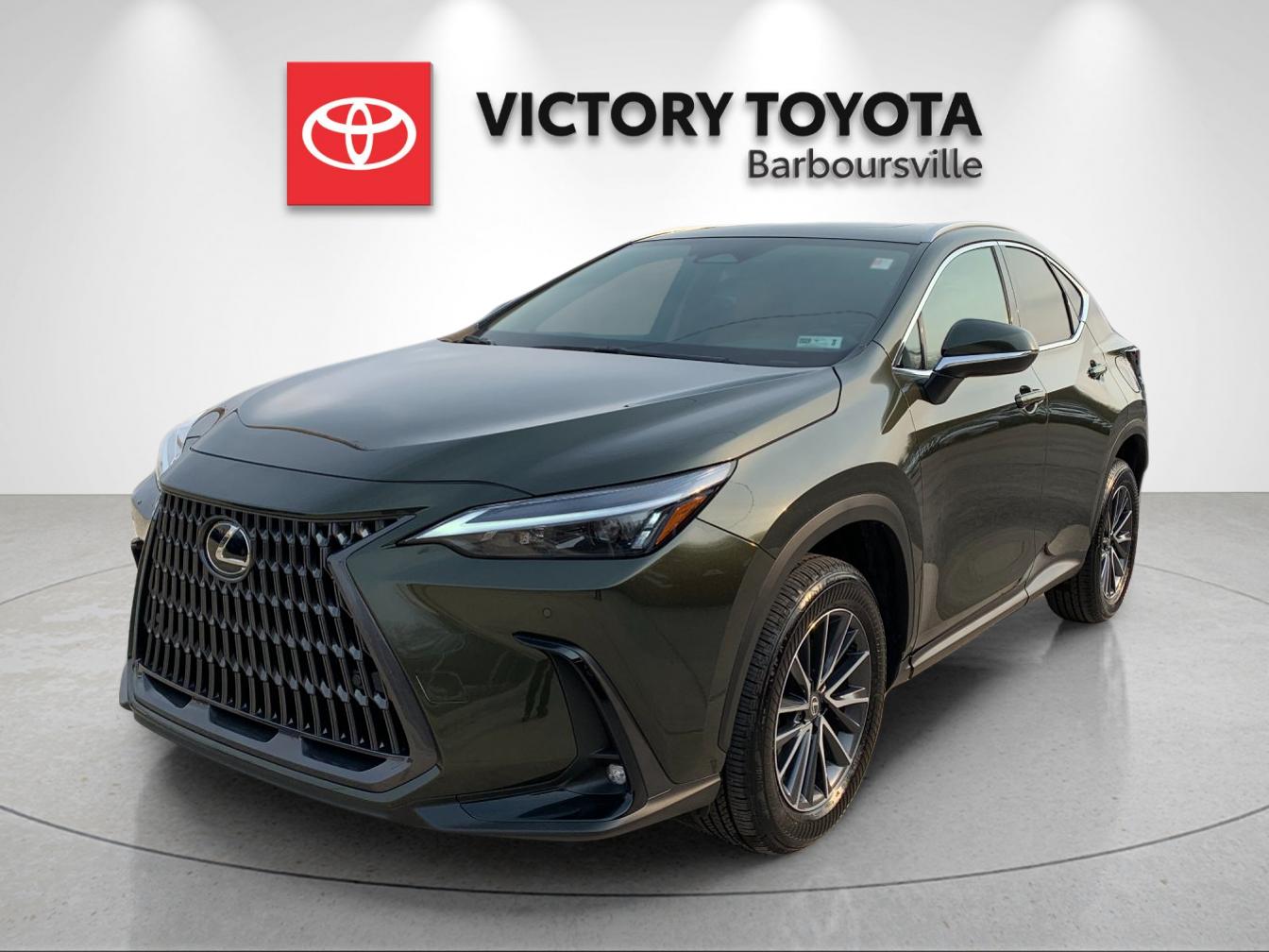 2026 Lexus NX