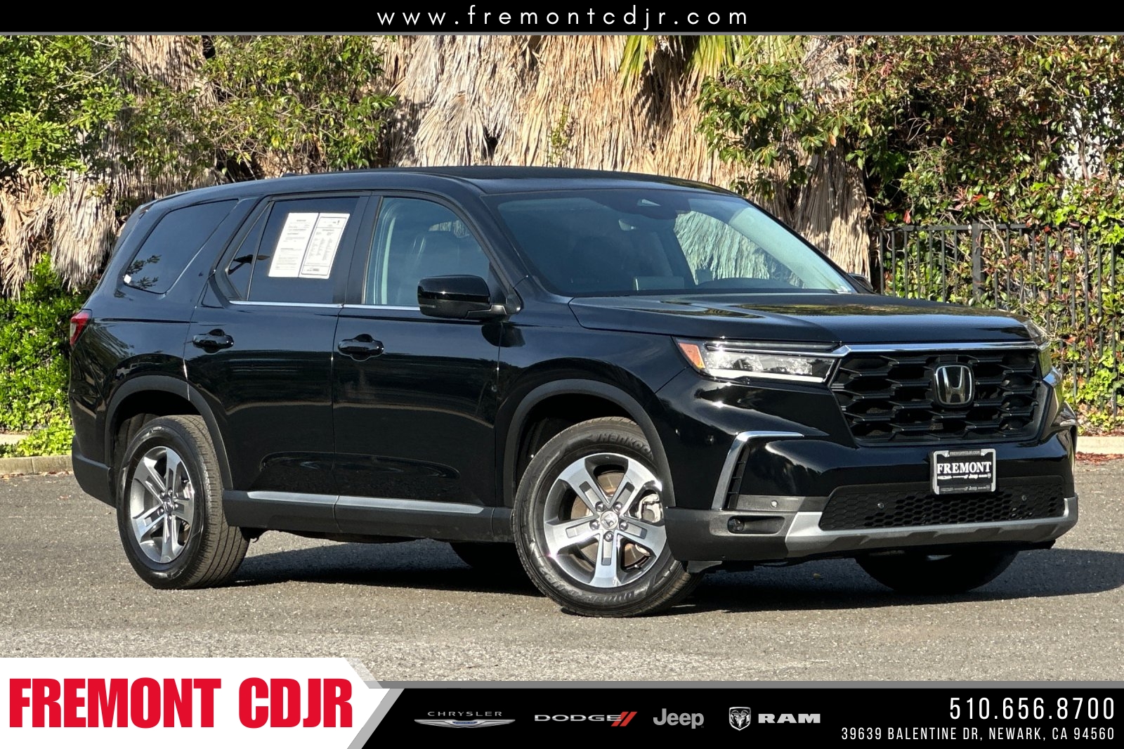2025 Honda Pilot EX-L 2WD's photo