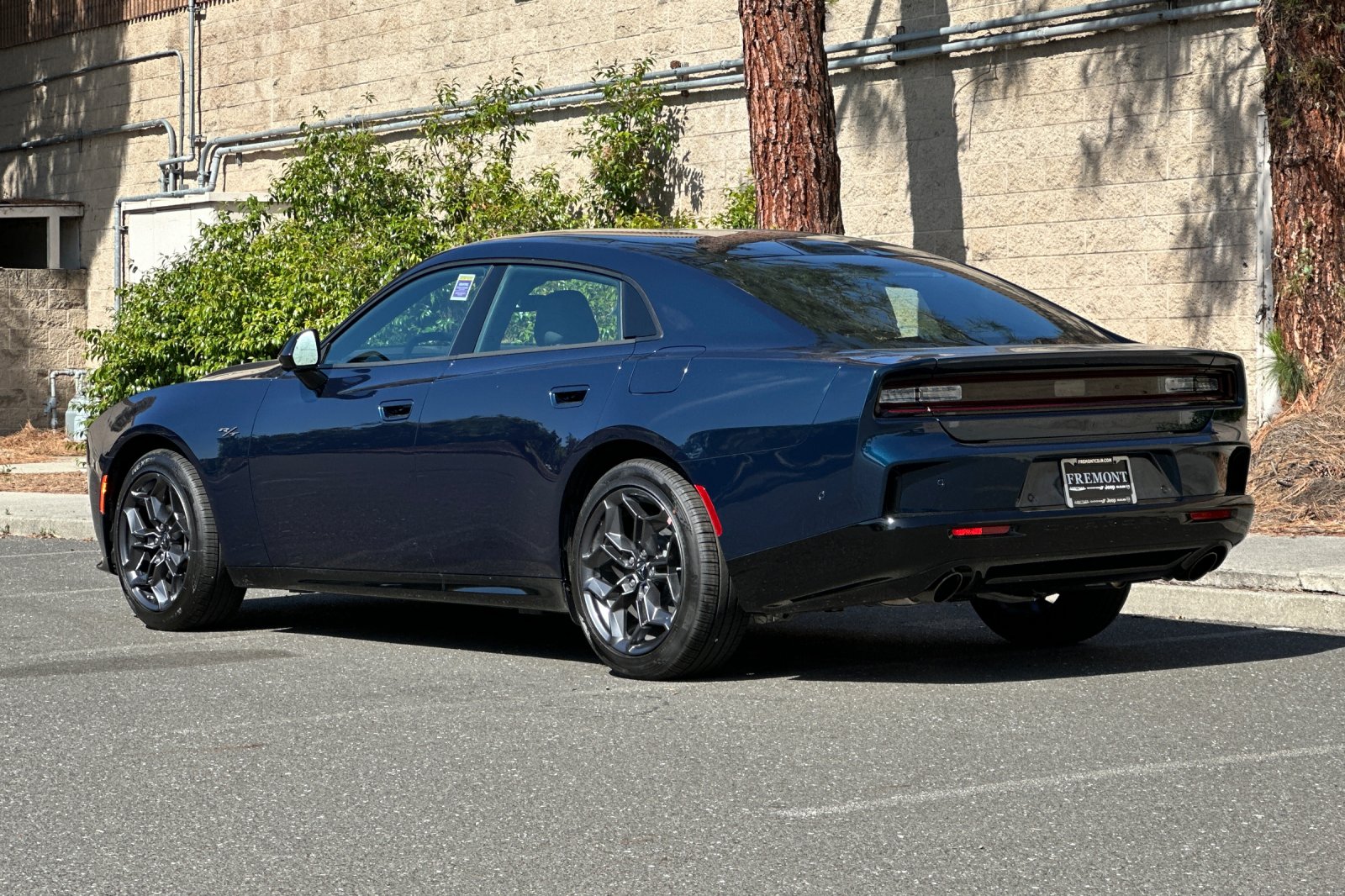New 2026 After Dark Exterior Paint Dodge R/T Plus image 5