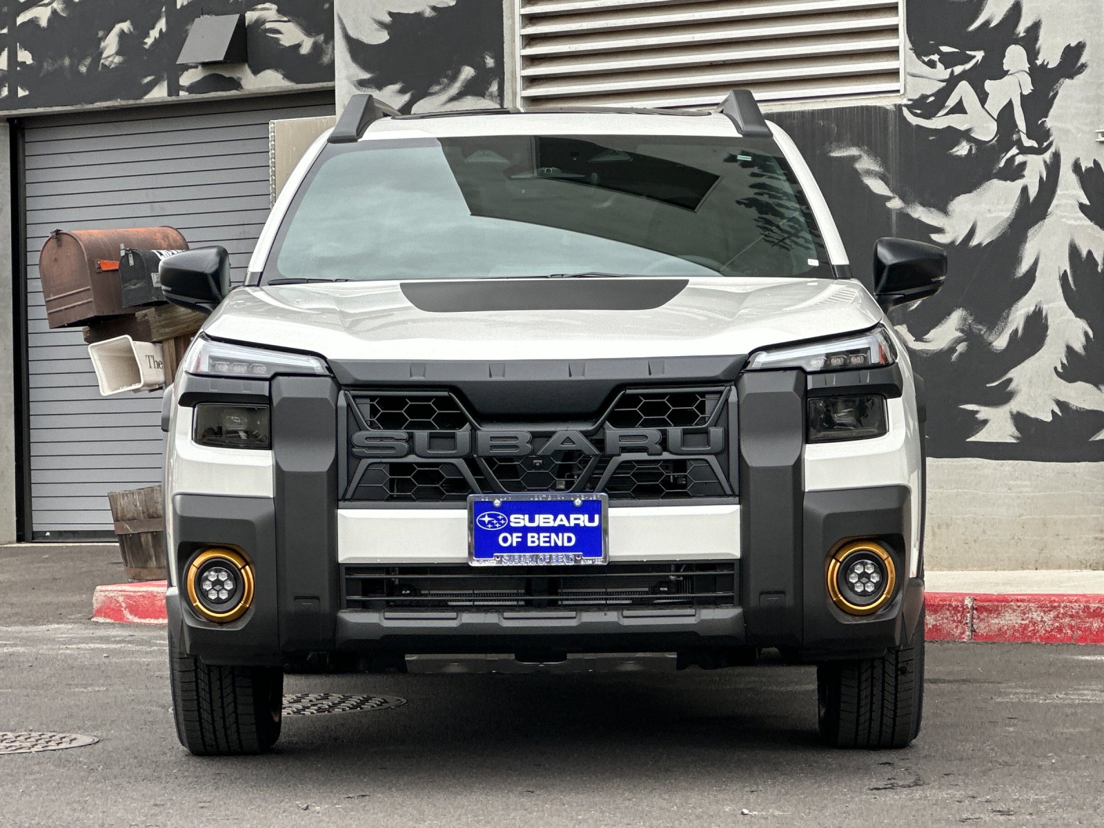 New 2026 CRYSTAL WHITE PEARL Subaru Wilderness image 9