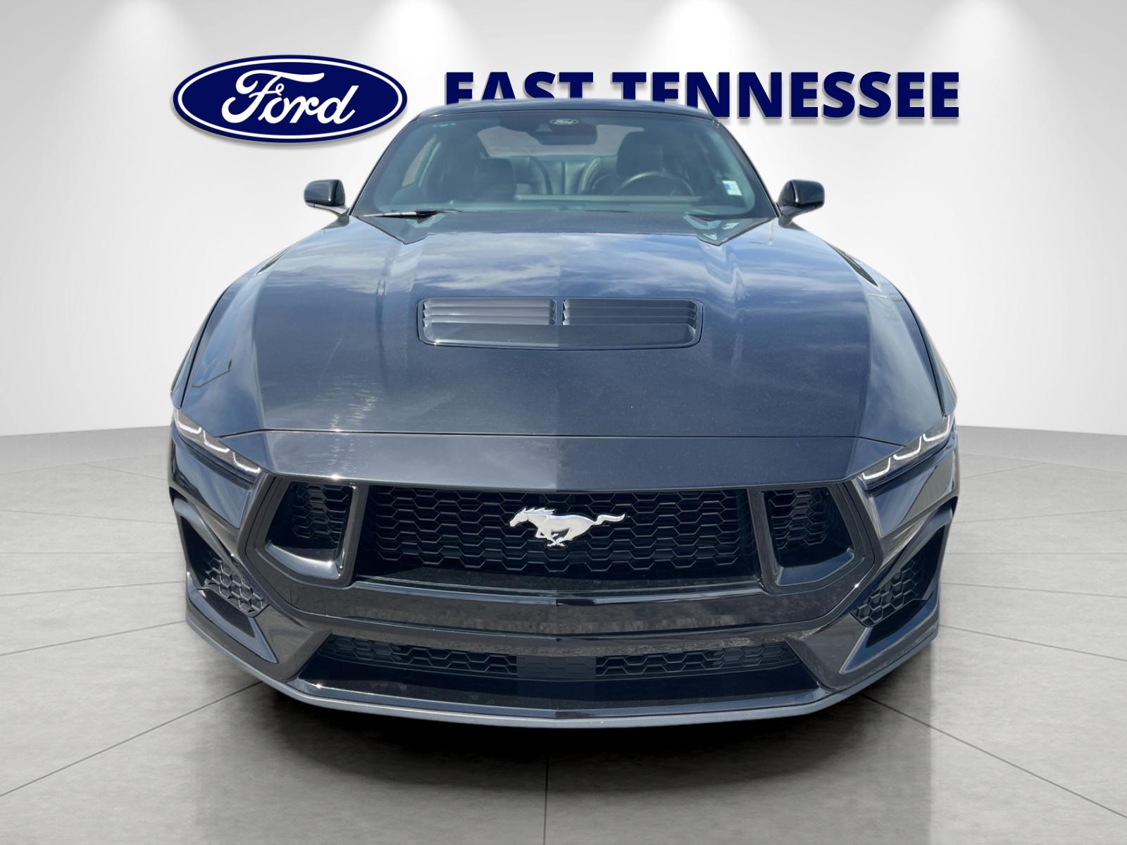 Used 2025 Black Ford GT Premium image 9