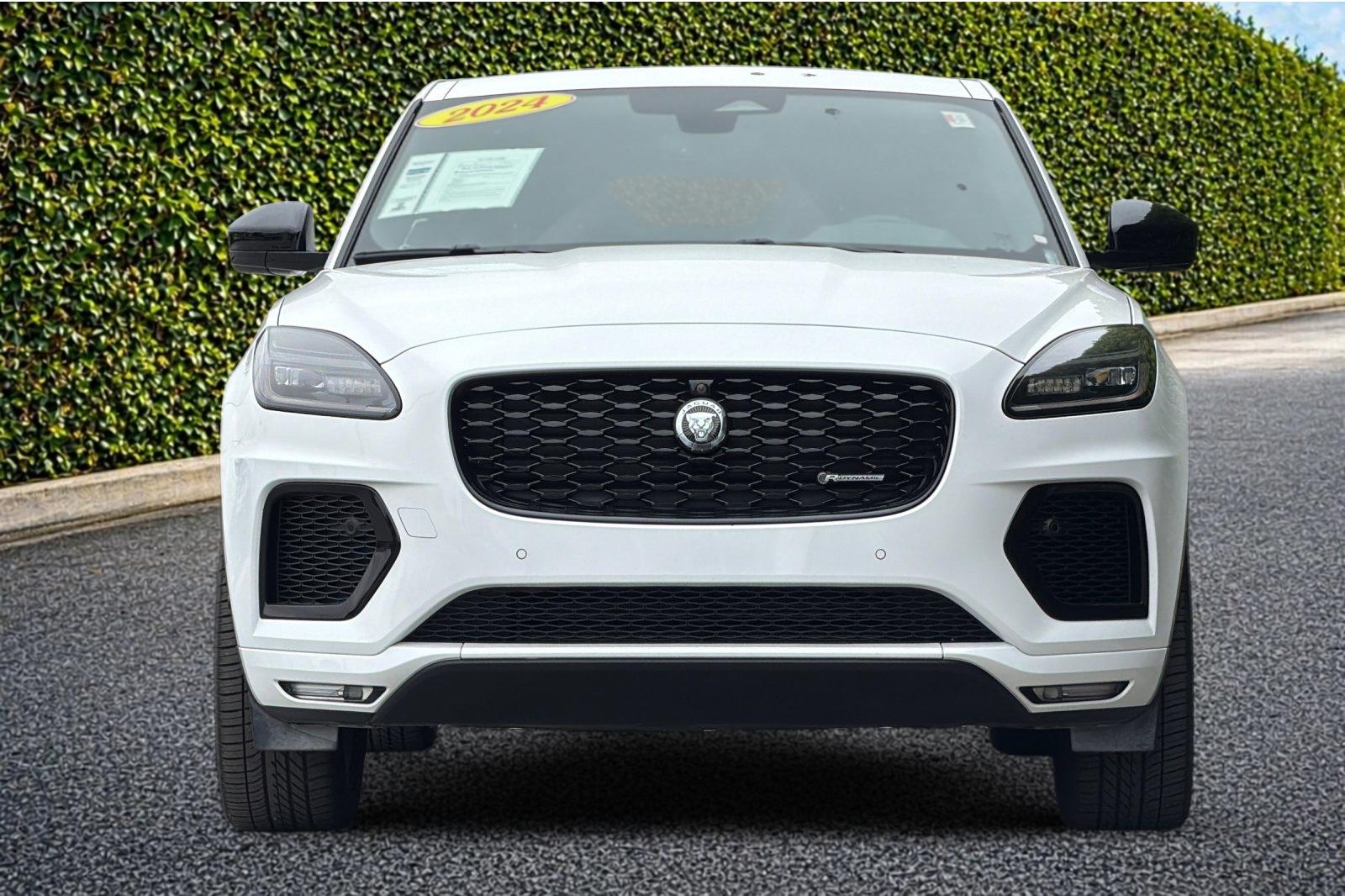 Used 2024 White Jaguar P250 image 9