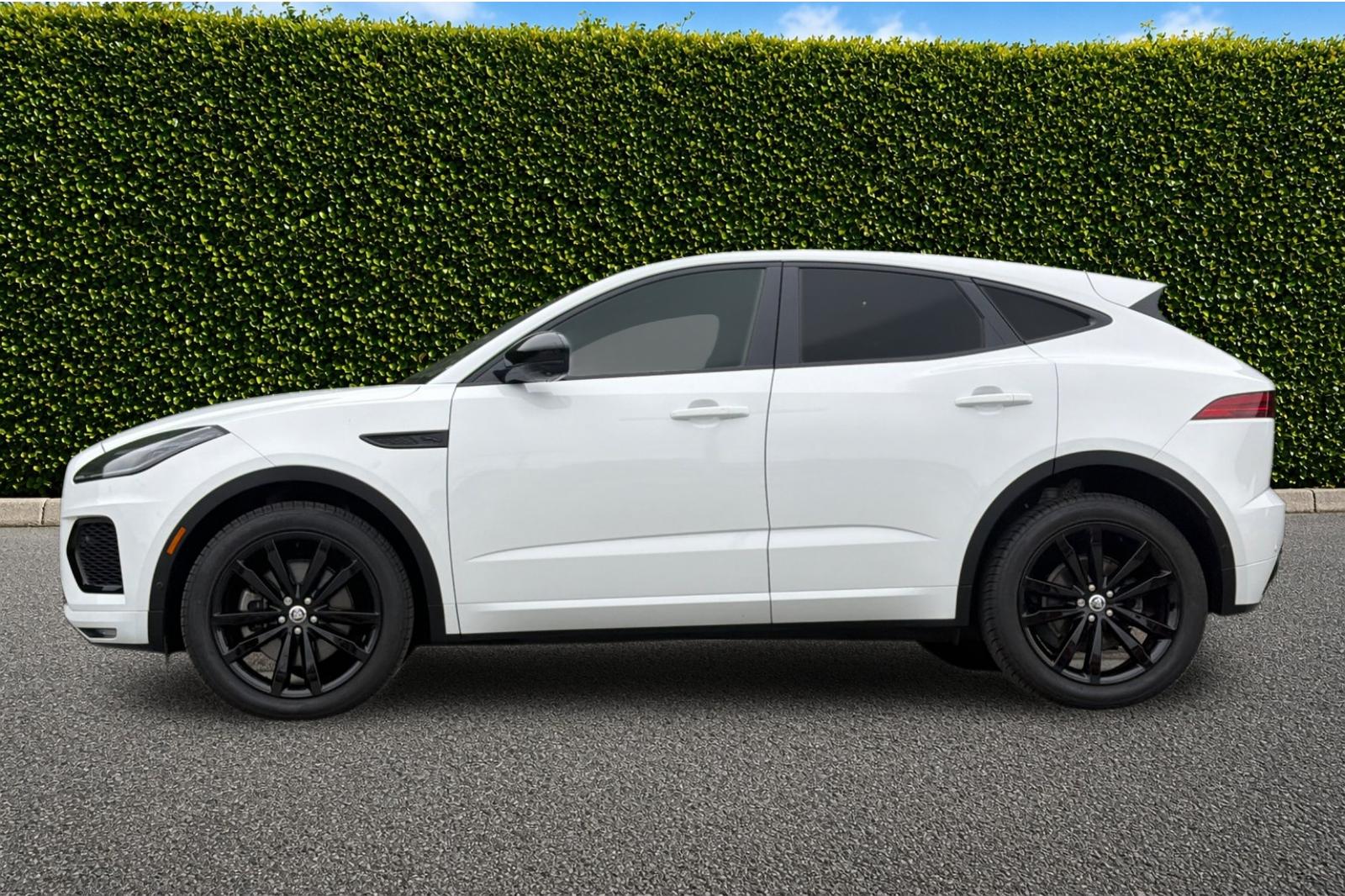 Used 2024 White Jaguar P250 image 7