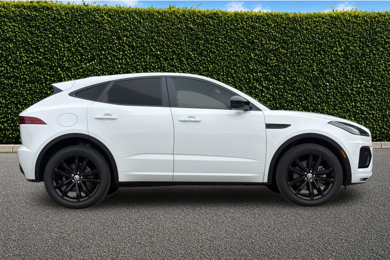 Used 2024 White Jaguar P250 image 3