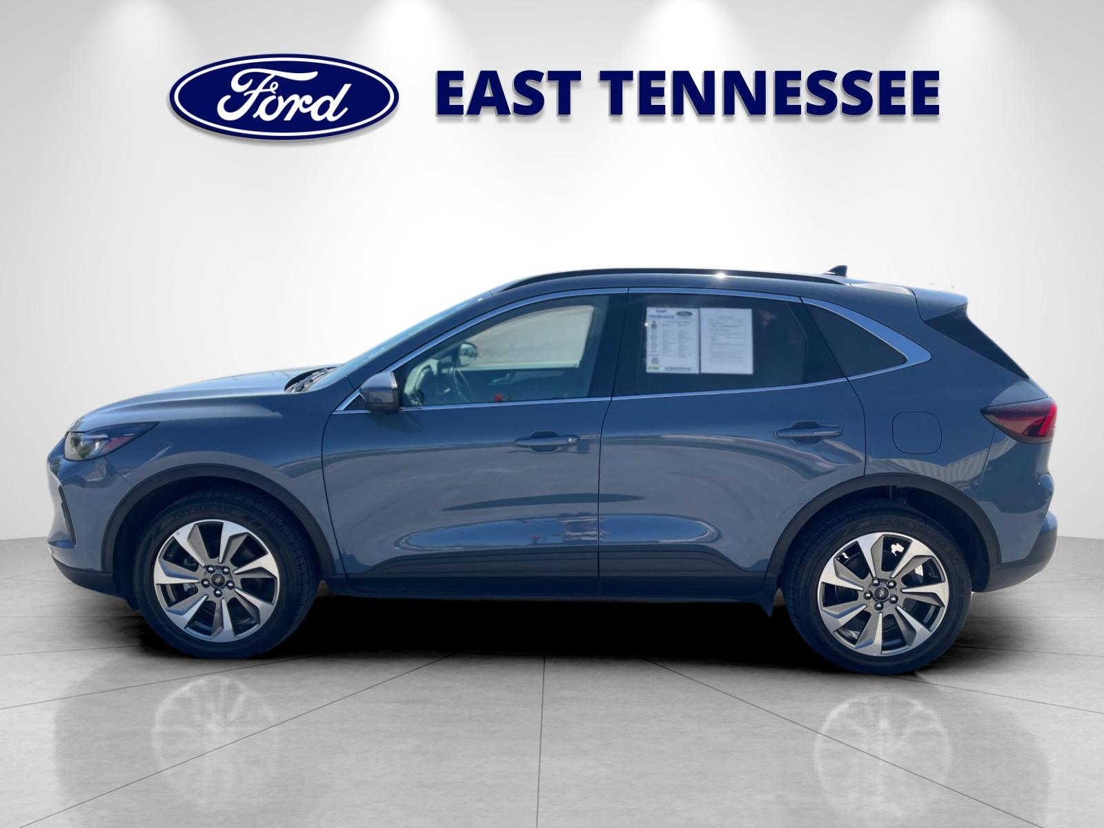 Used 2024  Ford Platinum image 6