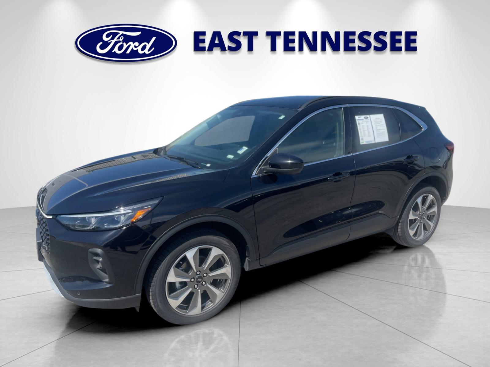 Used 2024  Ford Platinum image 7
