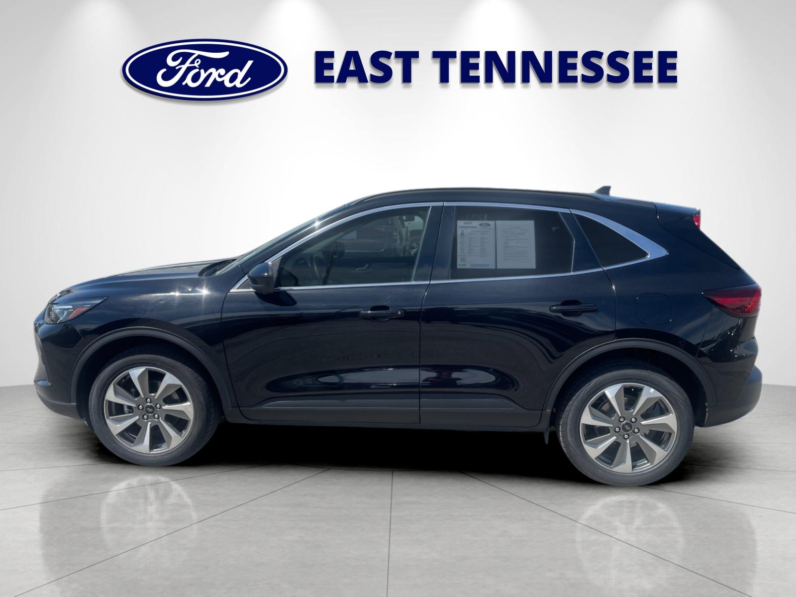 Used 2024  Ford Platinum image 6