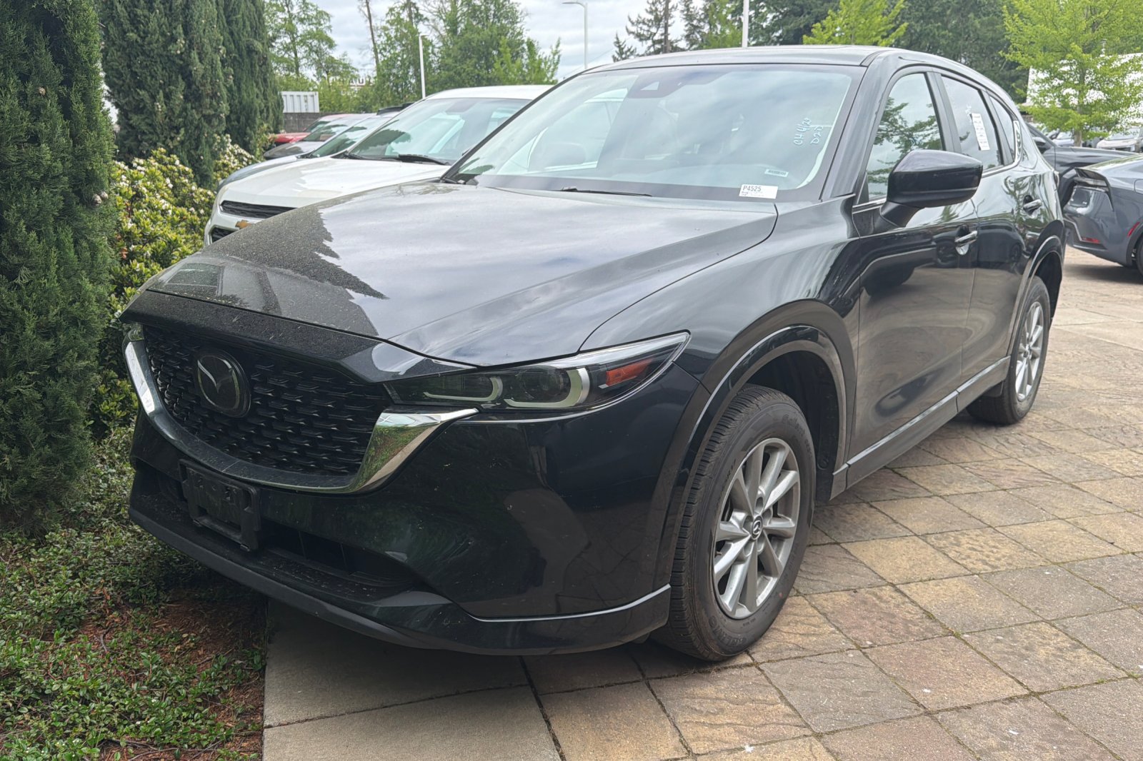 2025 Mazda CX-5 S Preferred package Auto AWD's photo