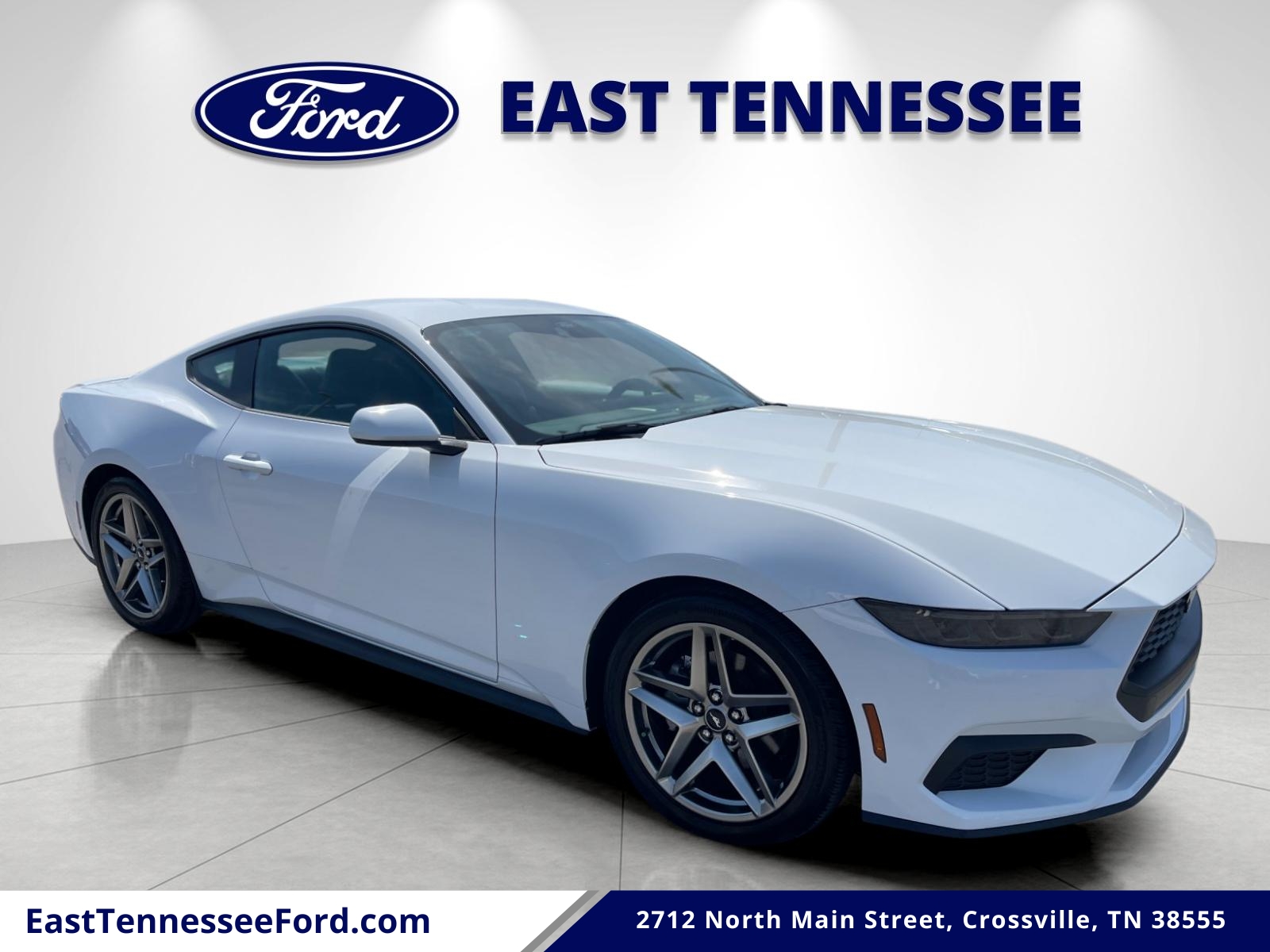 2025 Ford Mustang EcoBoost Premium Fastback's photo