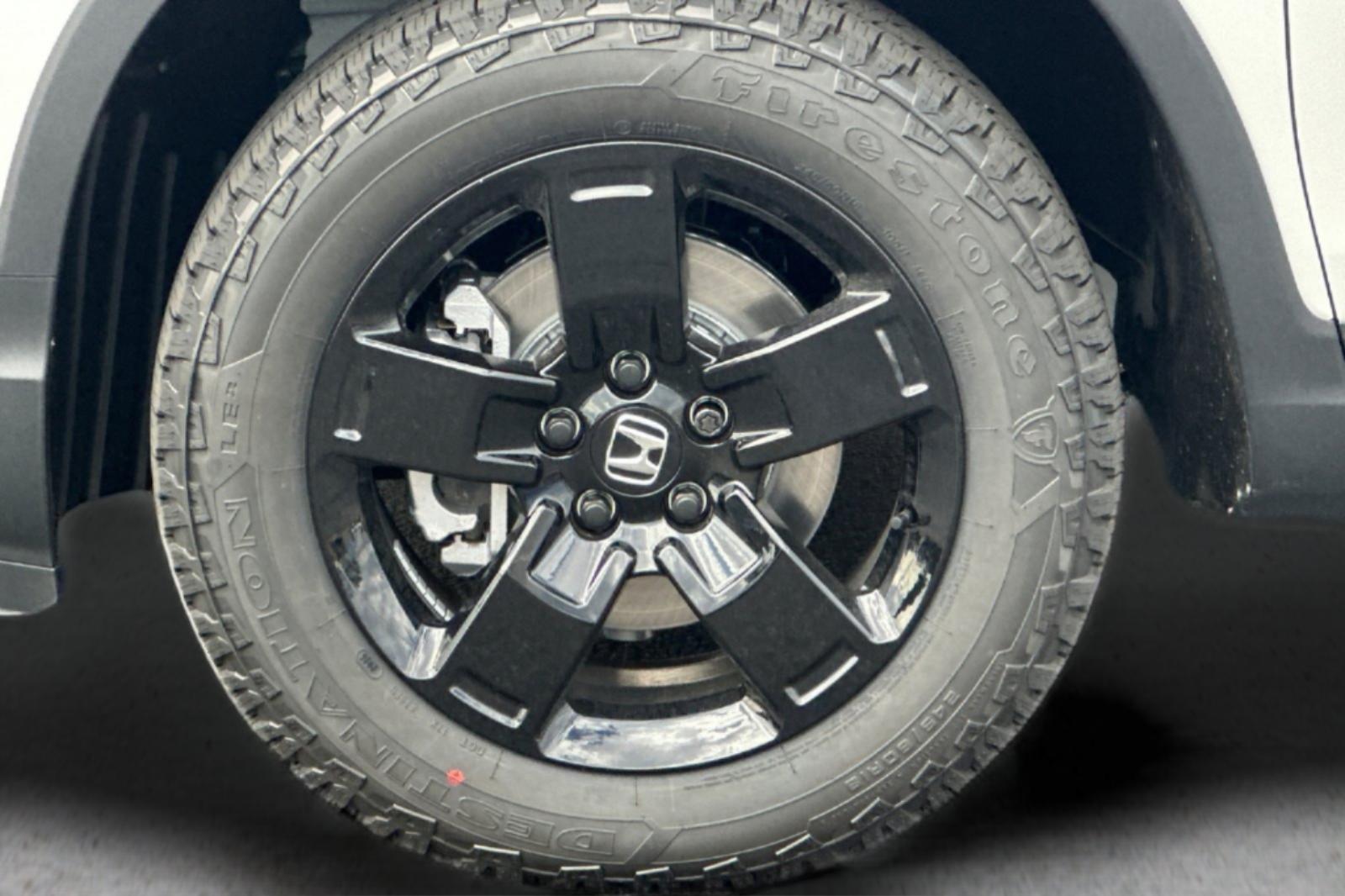 New 2026 Platinum White Pearl Honda Black Edition image 29