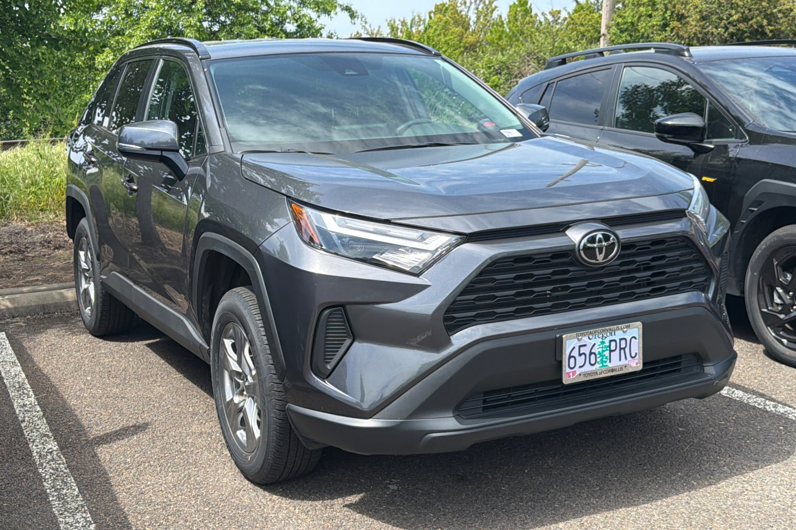 2024 Toyota RAV4 XLE AWD's photo