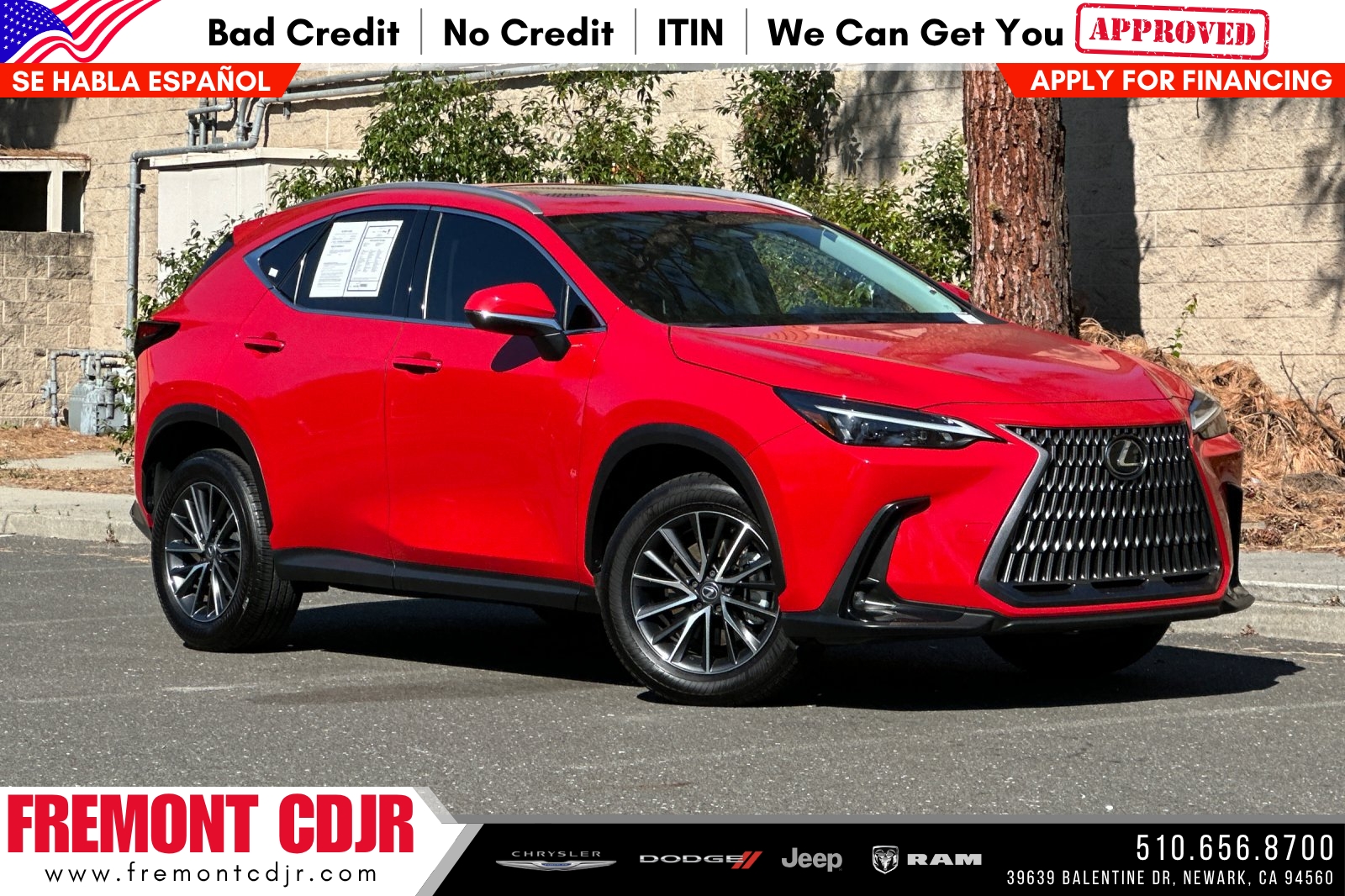 2024 Lexus NX 350 350 AWD's photo