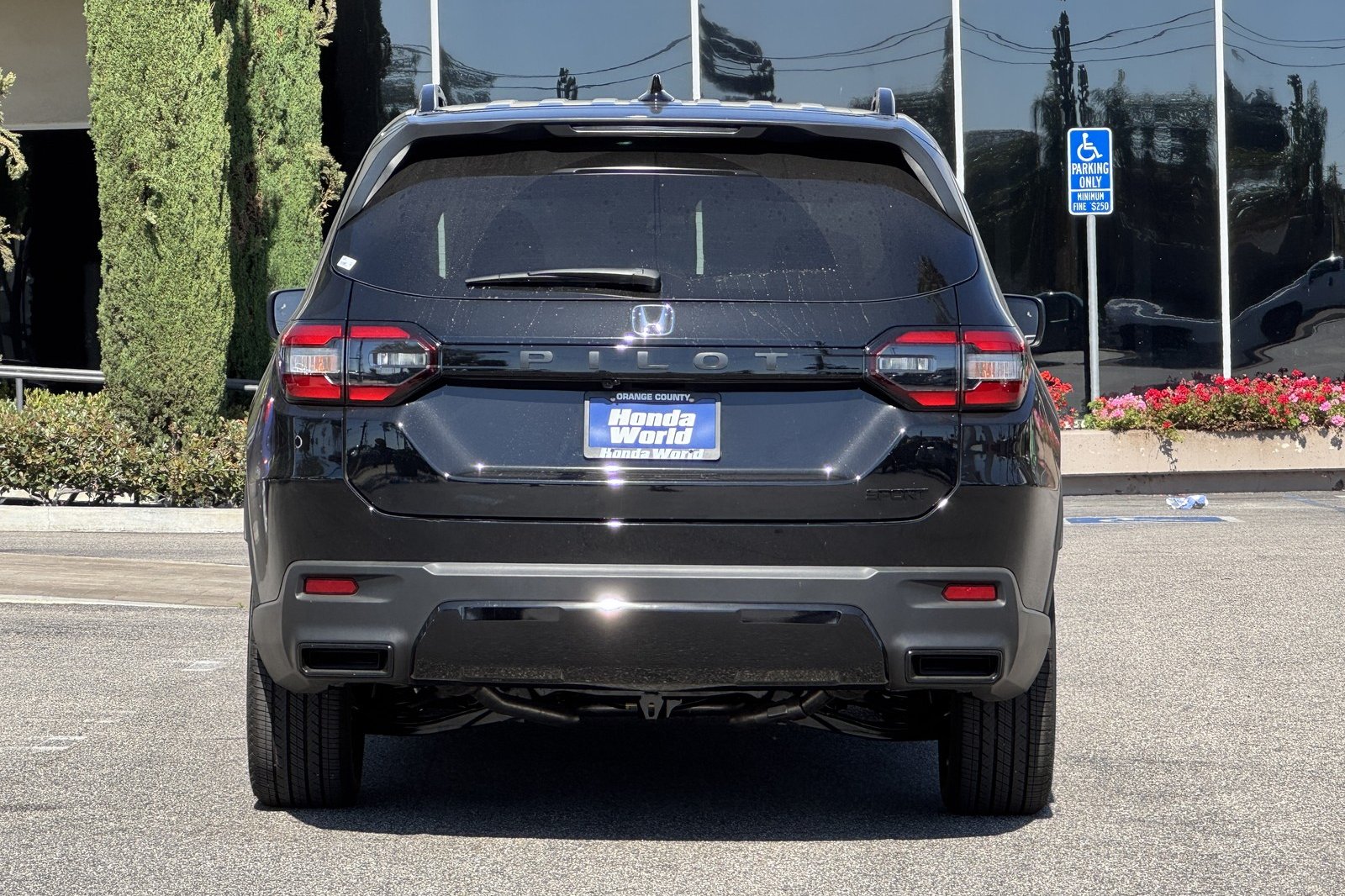 New 2026 Crystal Black Pearl Honda Sport image 5