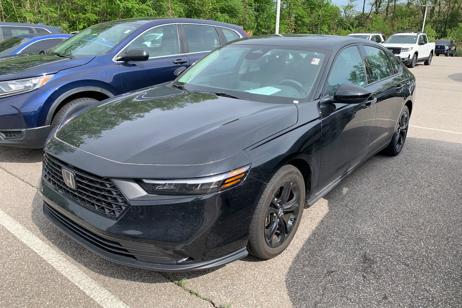 2025 Honda Accord 1.5T SE CVT's photo