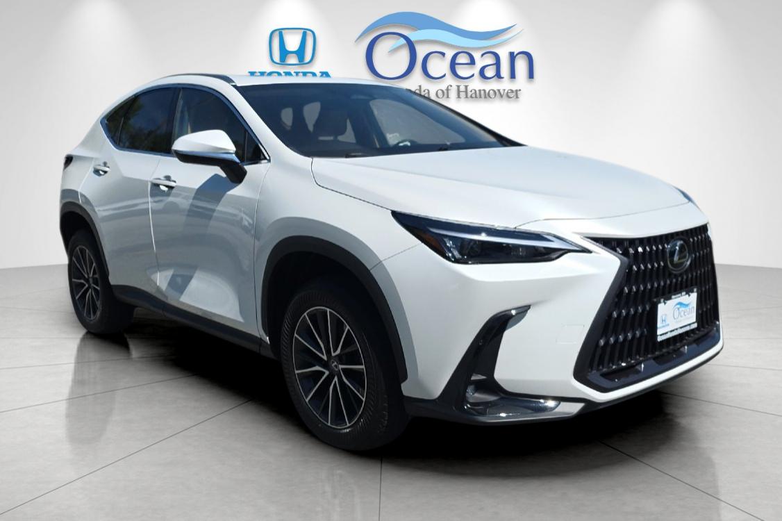 2024 Lexus NX 350 350 AWD's photo