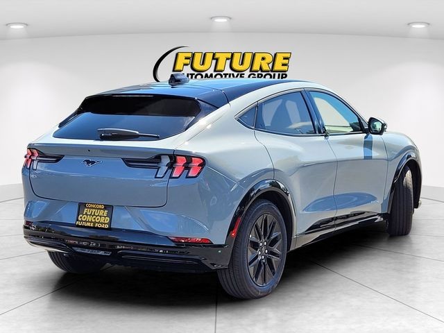 New 2025 Glacier Gray Metallic Tri-coat Ford Premium image 3