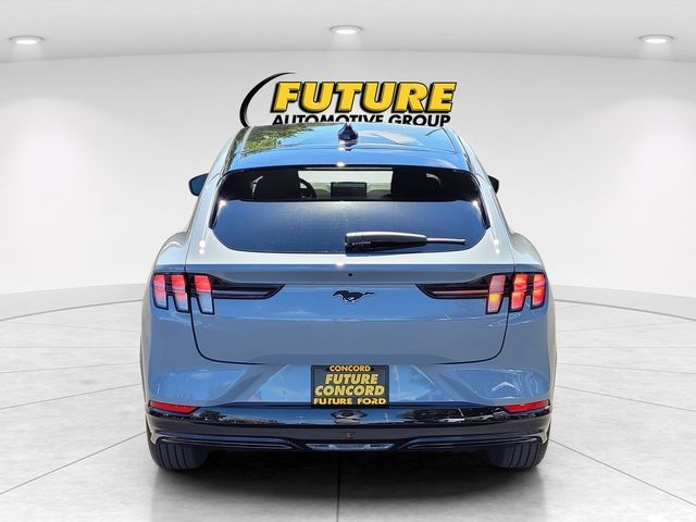 New 2025 Glacier Gray Metallic Tri-coat Ford Premium image 4