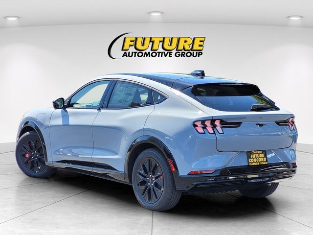 New 2025 Glacier Gray Metallic Tri-coat Ford Premium image 5