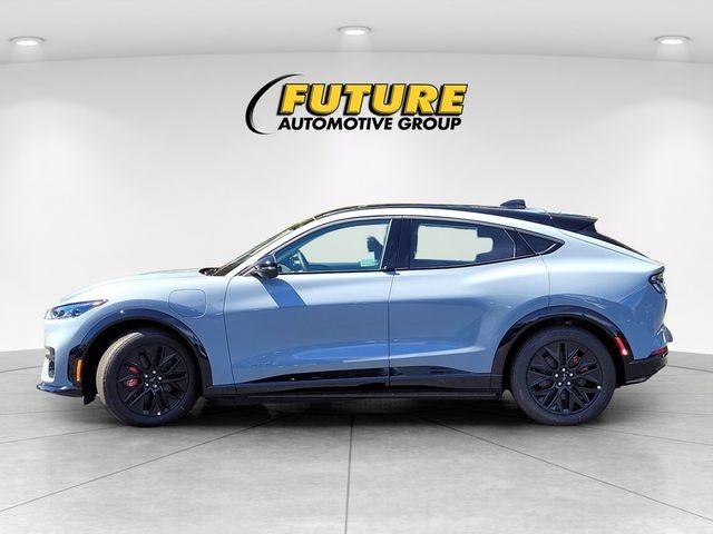 New 2025 Glacier Gray Metallic Tri-coat Ford Premium image 6