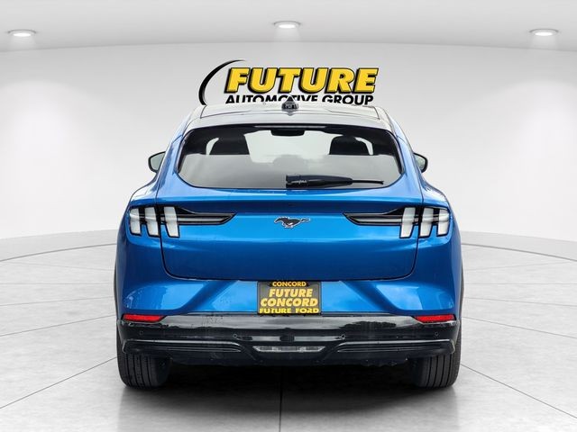 New 2025 Velocity Blue Metallic Ford Premium image 4