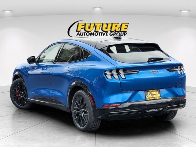 New 2025 Velocity Blue Metallic Ford Premium image 5