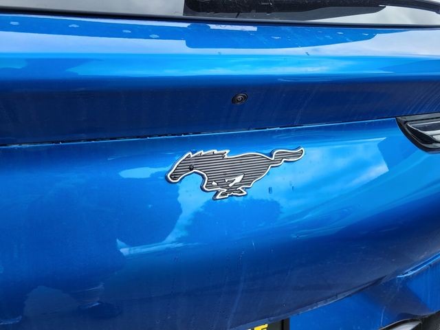 New 2025 Velocity Blue Metallic Ford Premium image 24