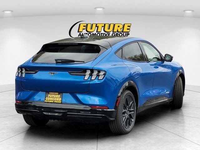 New 2025 Velocity Blue Metallic Ford Premium image 31