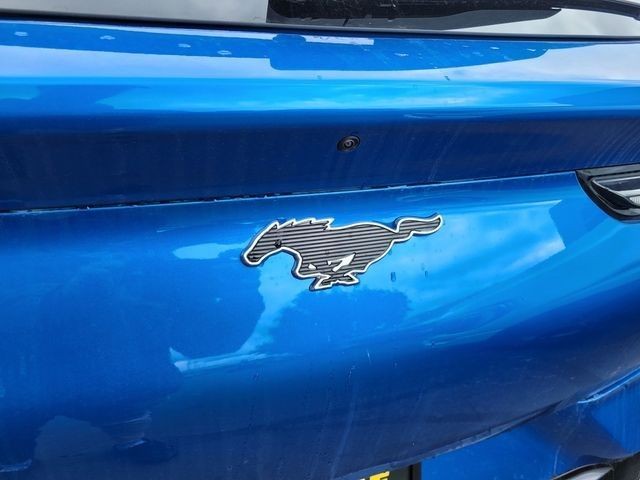 New 2025 Velocity Blue Metallic Ford Premium image 49
