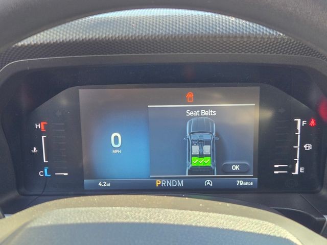 New 2025 Marsh Gray Ford XL image 12