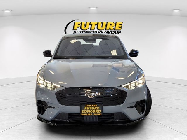 New 2025 Glacier Gray Metallic Tri-coat Ford GT image 8