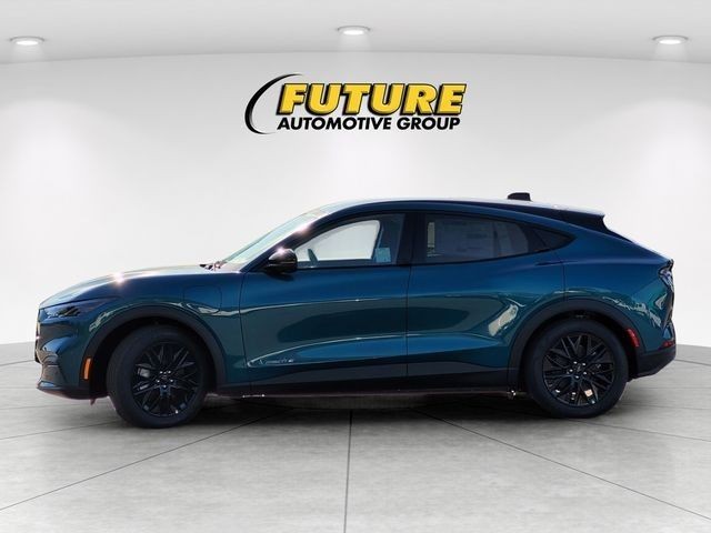 New 2026 Adriatic Blue Metallic Ford Select image 32