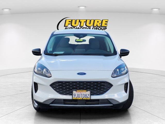 Used 2022 White Ford SE image 4