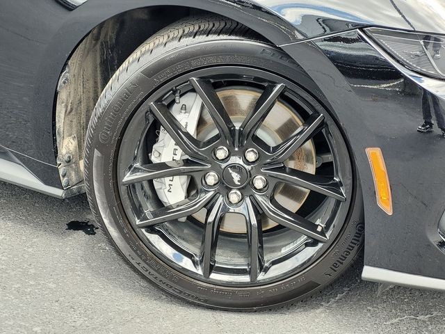 Used 2025 Black Ford GT Premium image 10