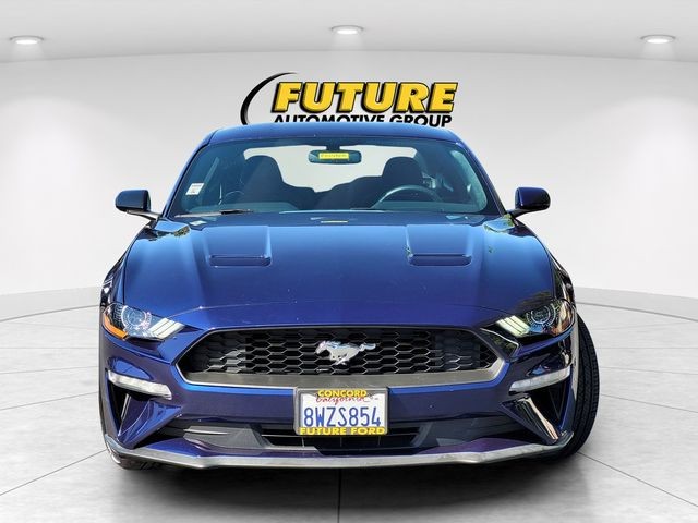 Certified Used 2019 Kona Blue Metallic Ford EcoBoost image 4
