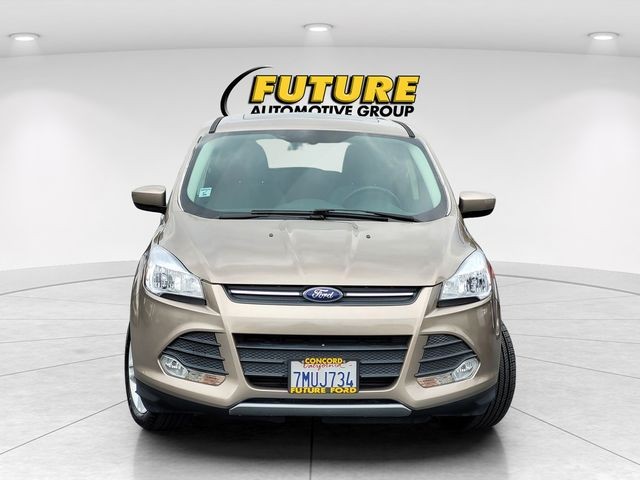 Used 2014 Gray Ford SE image 4