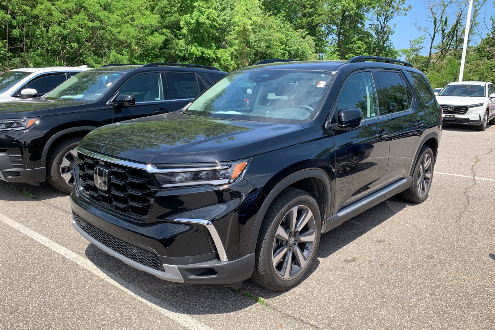 2024 Honda Pilot Elite AWD's photo