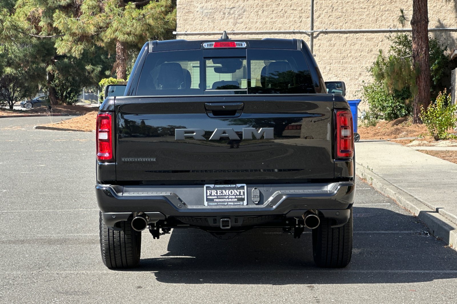 New 2026 Diamond Black Crystal Pearl-Coat Exterior Paint RAM Big Horn/Lone Star image 4