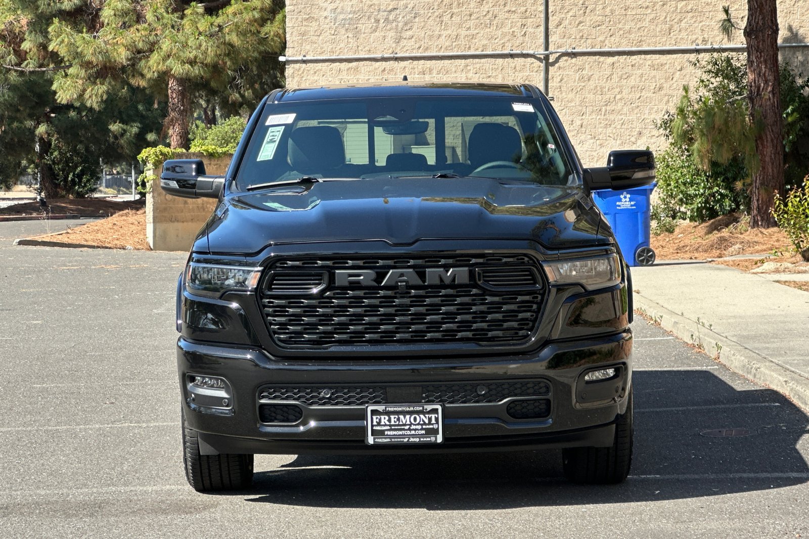 New 2026 Diamond Black Crystal Pearl-Coat Exterior Paint RAM Big Horn/Lone Star image 8