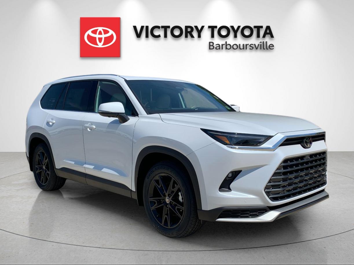 New 2026 Wind Chill Pearl Toyota Hybrid MAX Platinum image 5