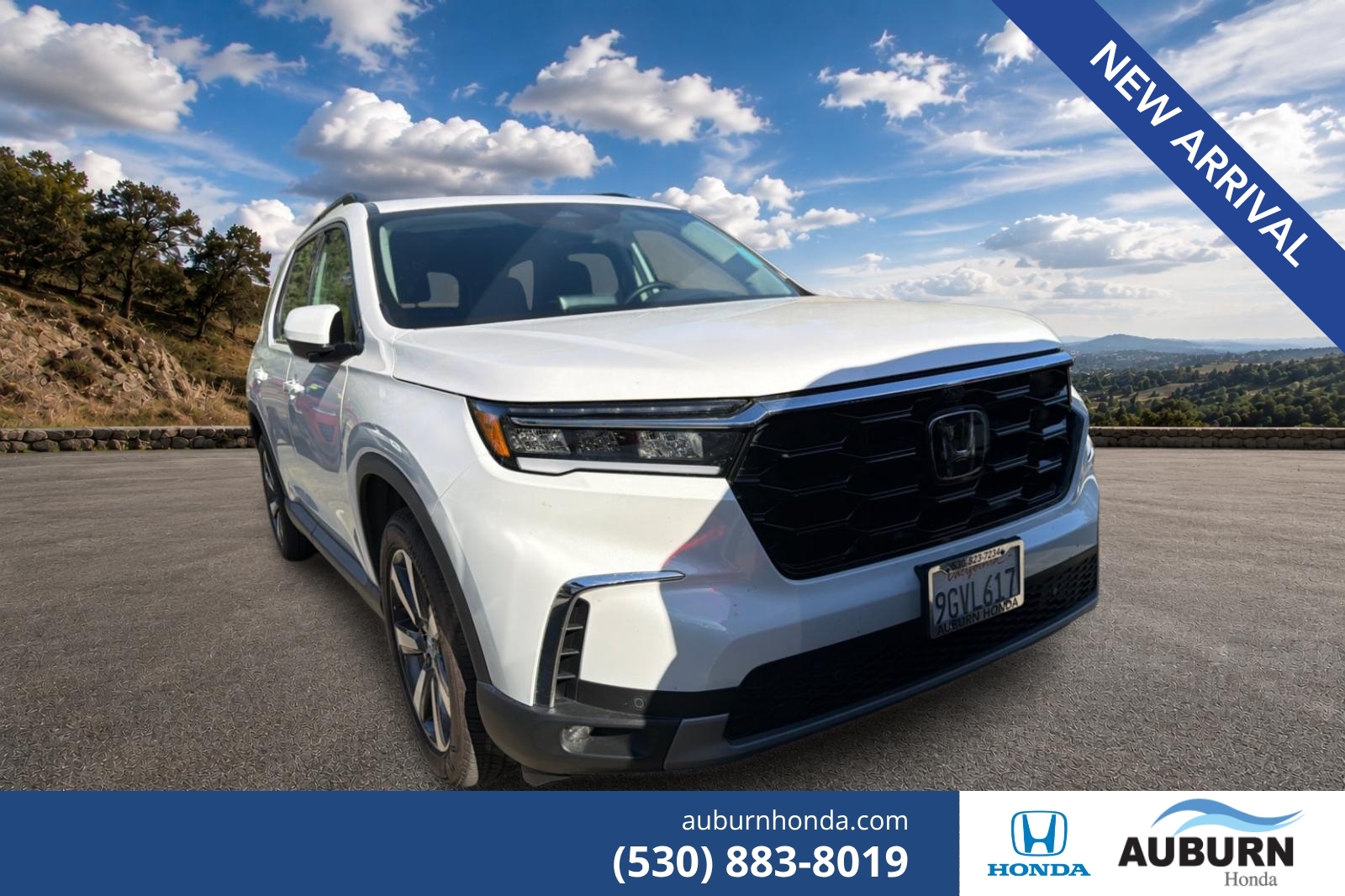 2023 Honda Pilot Elite AWD's photo