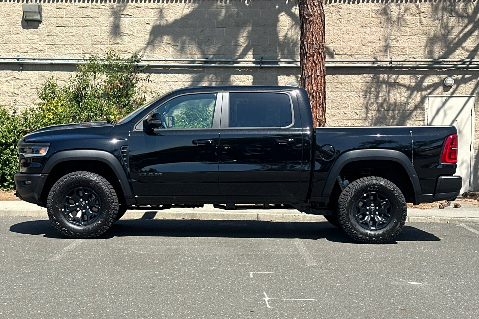 New 2026 Diamond Black Crystal Pearl-Coat Exterior Paint RAM RHO image 6