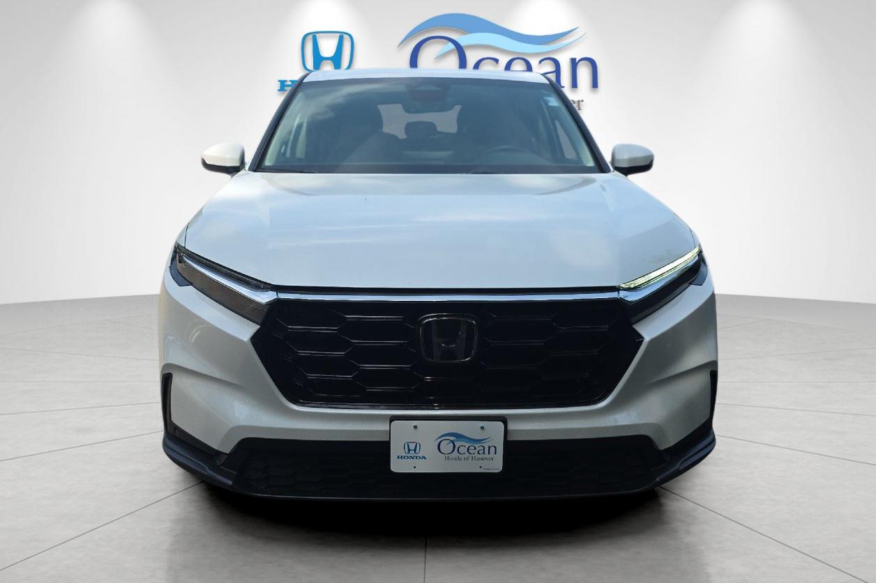 Used 2024 Platinum White Pearl Honda EX-L image 8