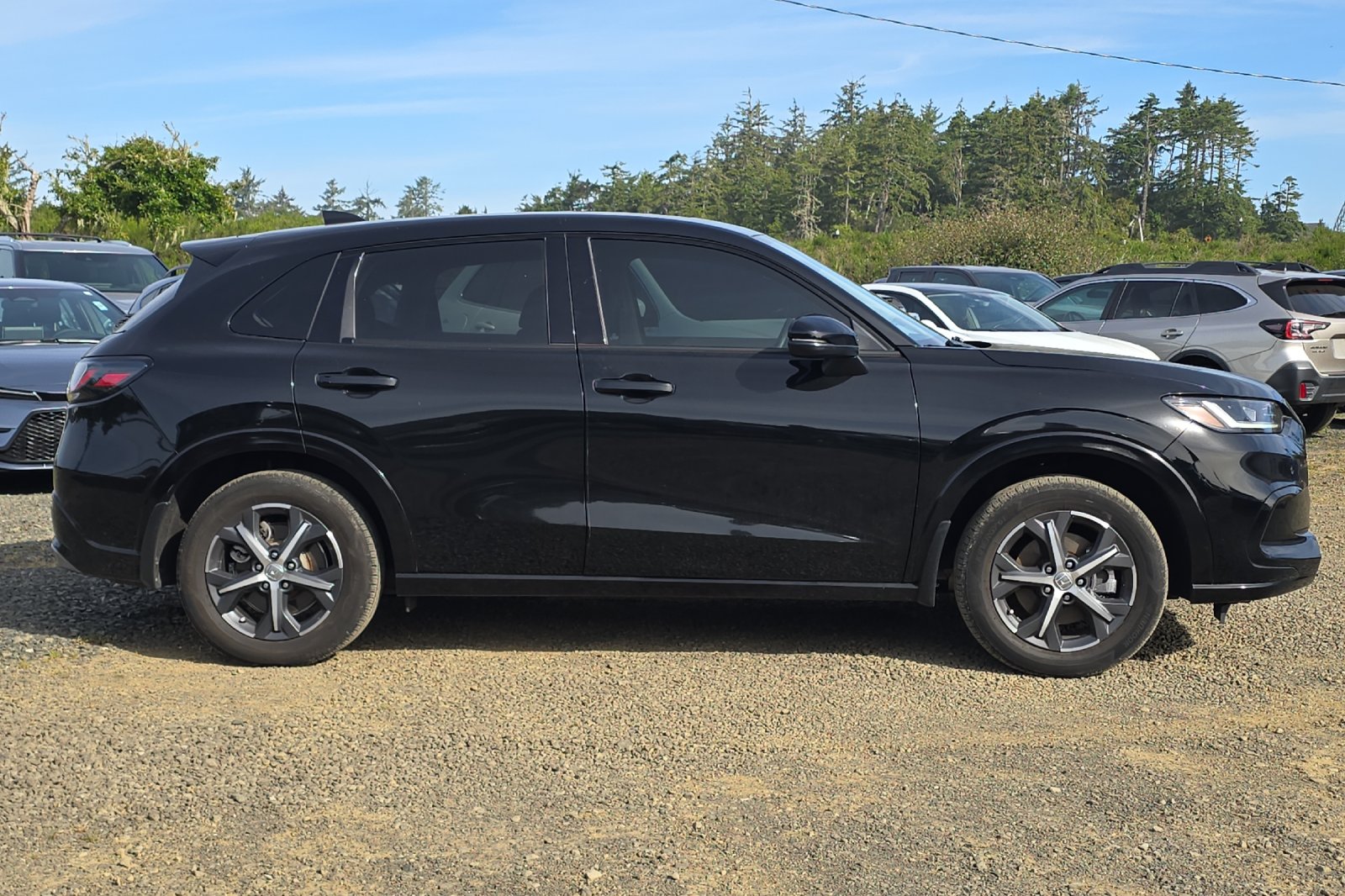 Used 2024  Honda EX-L image 3